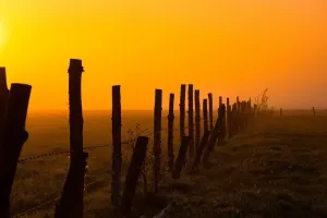 Jak wybrać pastuch elektryczny do gospodarstwa