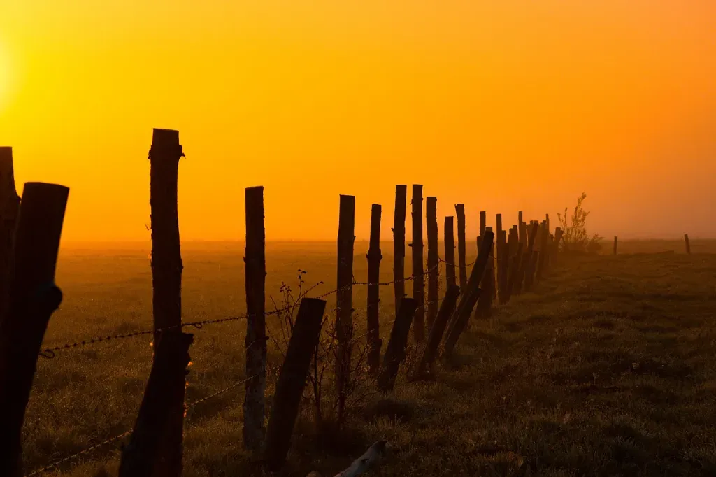 Jak wybrać pastuch elektryczny do gospodarstwa